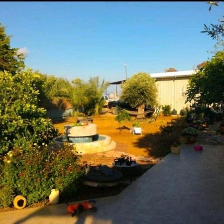 Appartement בחצר של טובה à Hazon Extérieur photo