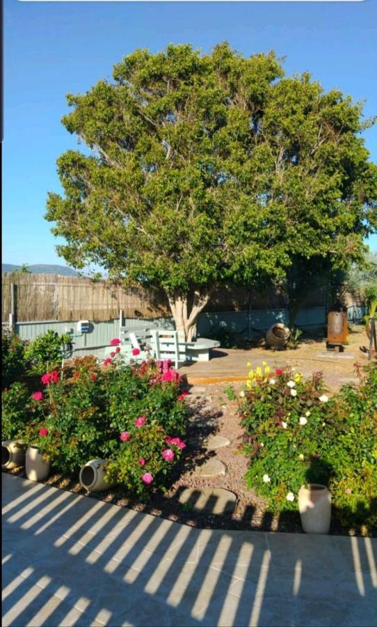 Appartement בחצר של טובה à Hazon Extérieur photo