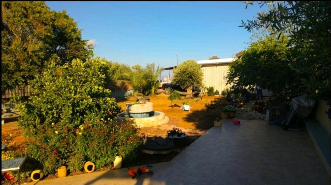 Appartement בחצר של טובה à Hazon Extérieur photo